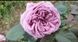id671 фото 1