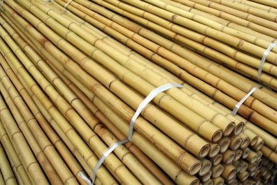 Бамбукові опори - бамбукові кілки для саду 0.9м d-8-10 мм 646688448 фото