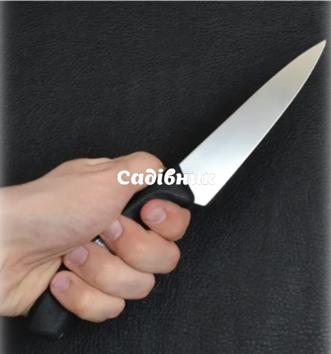 Кухонний ніж Victorinox 6.8003.15 B Кухонний ніж Victorinox 6.8003.15B фото
