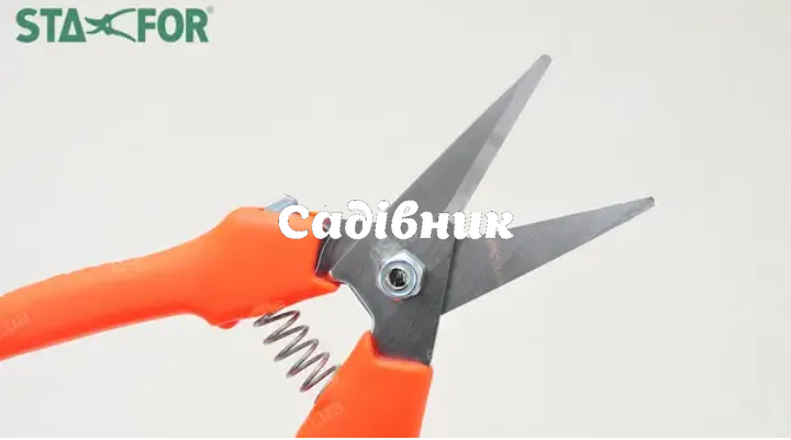 Секатор STAFOR 822 822 фото
