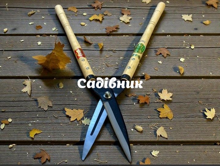 Кущоріз HANAKUMAGAWA, довжина лез 180 мм, Aogami Steel 2, 62HRC (Загальна довжина 70 см, вага 920 г) (4580149742468) 4580149742468 фото