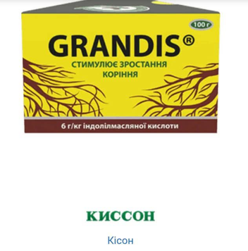 Укорінювач Грандіс (GRANDIS) 100 г / 100 г 426986972 фото