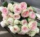 Pompon Flower Circus (Помпон Флавер Сіркус) Пашміна 150 фото 1