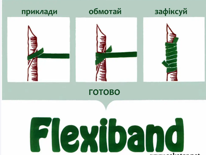 Flexiband фото