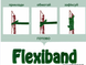 Каучукові гумки для щеплення Flexiband\Флексібенд (Німеччина) 100\3.5 мм(4200шт) Flexiband фото 1